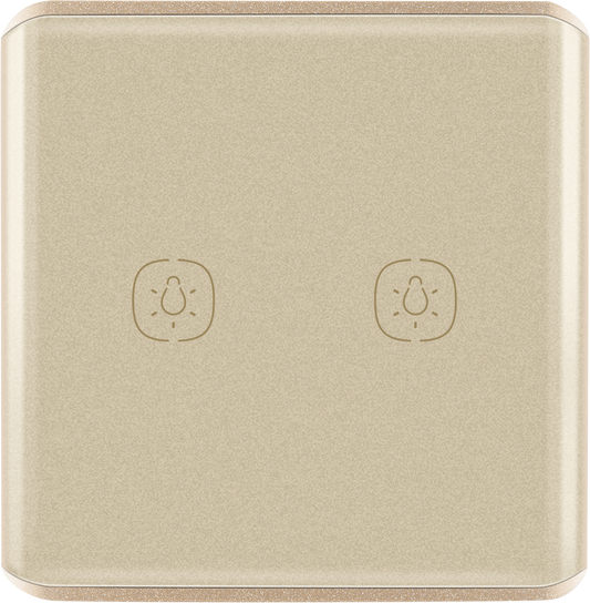 2 gang Light ZigBee Switch