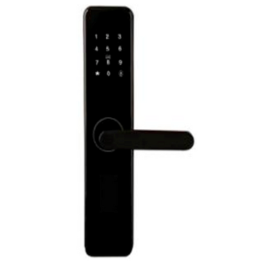 M-001 Door lock WiFi