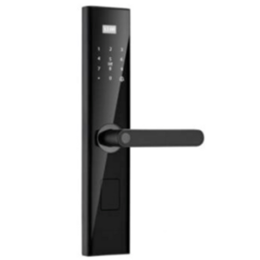 M-003 Door lock WiFi