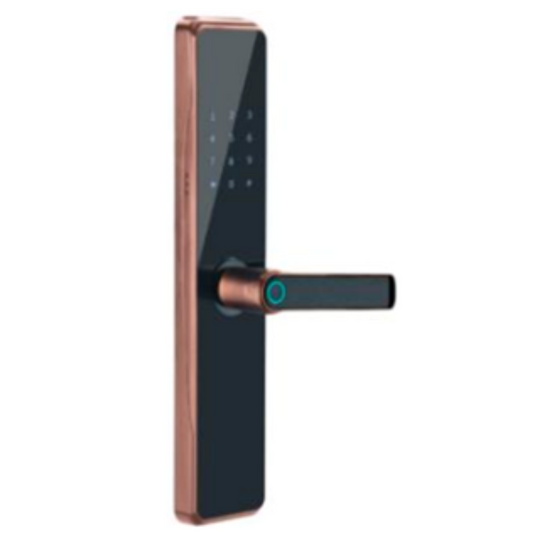 M-004 Door lock WiFi