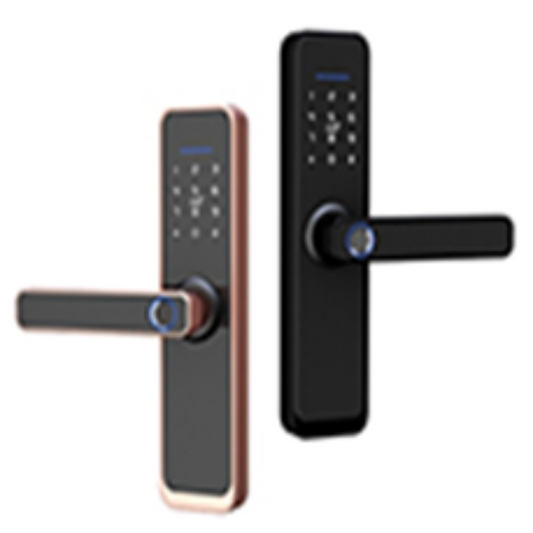 M-009 Door lock WiFi