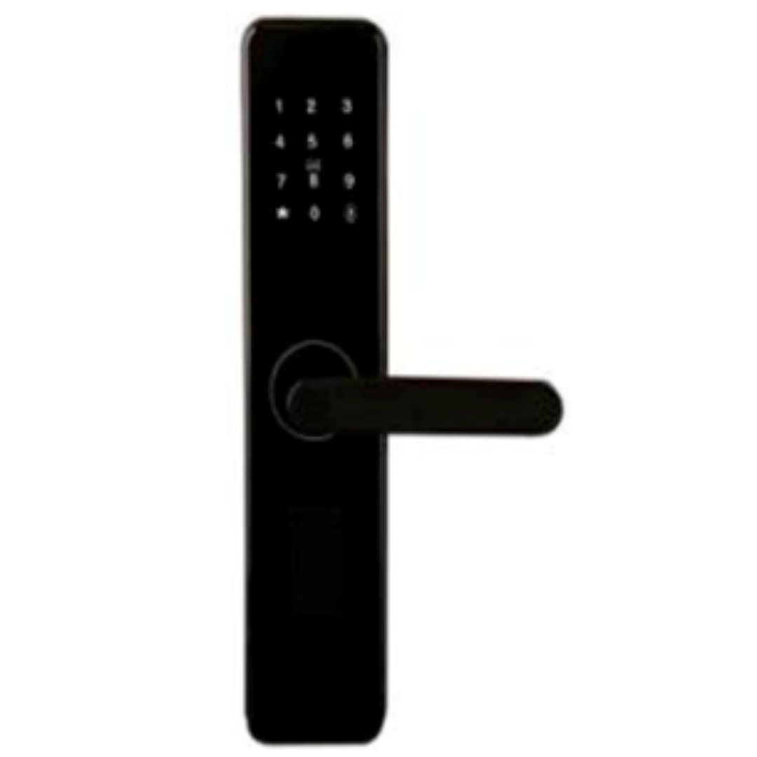 M-001 Door lock WiFi
