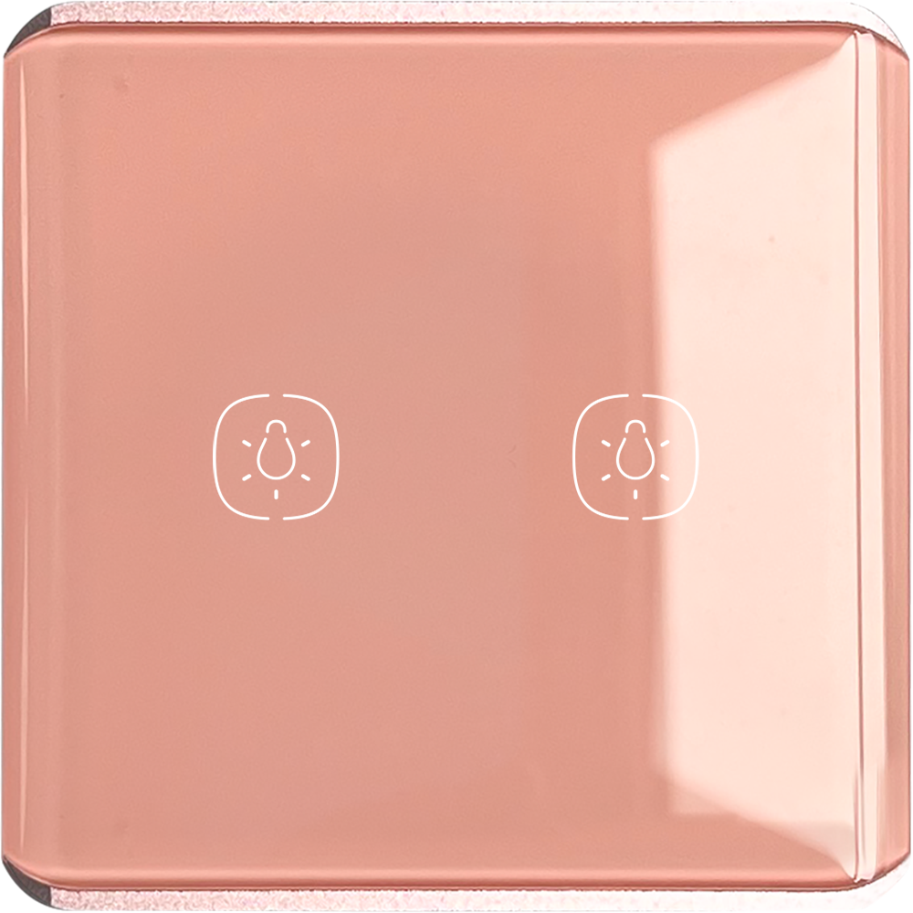 2 gang Light ZigBee Switch